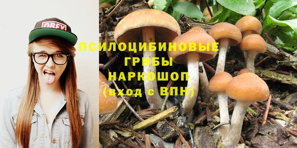 каннабис Баксан