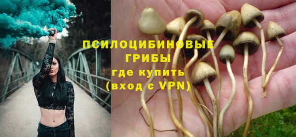 крисы Балахна