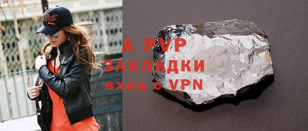 сатива Новозыбков